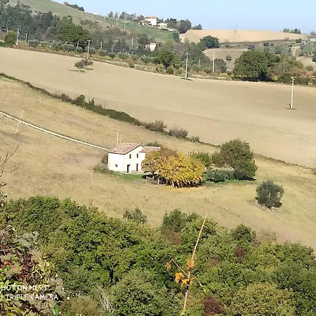 Bed & Breakfast In Vino Veritas