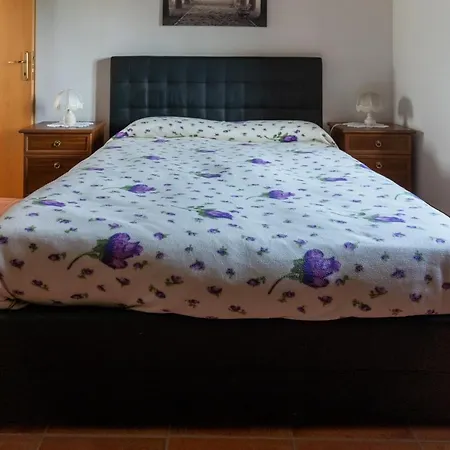 In Vino Veritas Bed & Breakfast