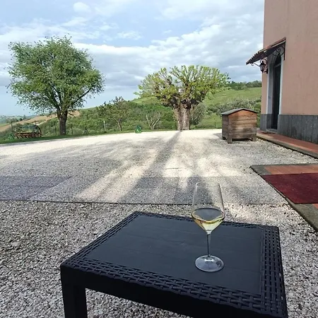 In Vino Veritas Arcevia