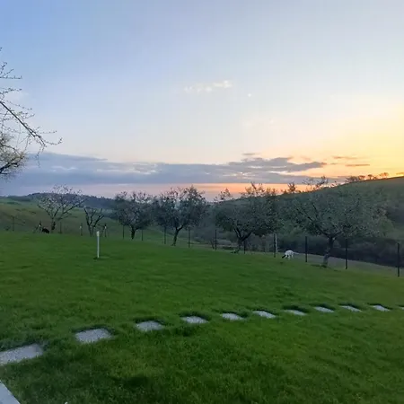 In Vino Veritas * Arcevia