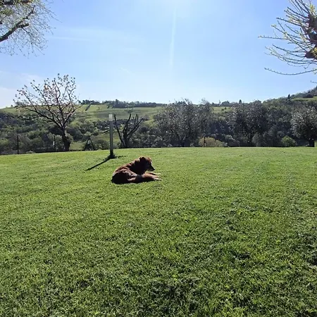 In Vino Veritas Bed & Breakfast *