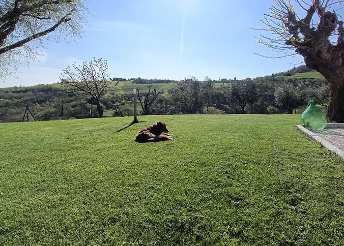 In Vino Veritas Bed & Breakfast *